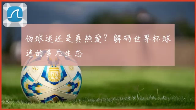 伪球迷还是真热爱？解码世界杯球迷的多元生态