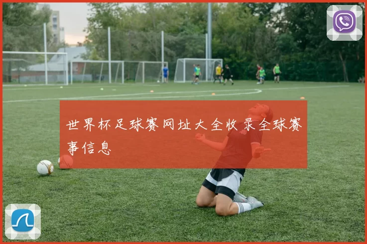 世界杯足球赛网址大全收录全球赛事信息