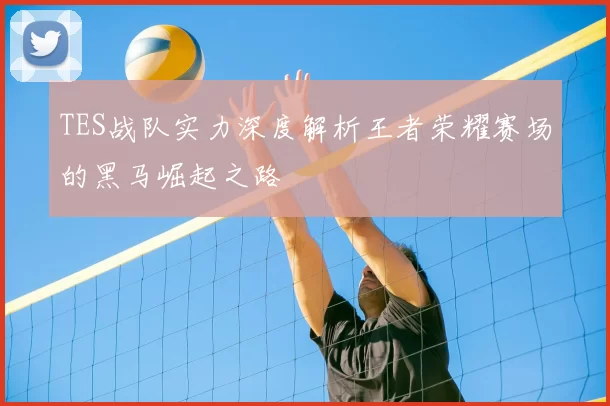 TES战队实力深度解析王者荣耀赛场的黑马崛起之路