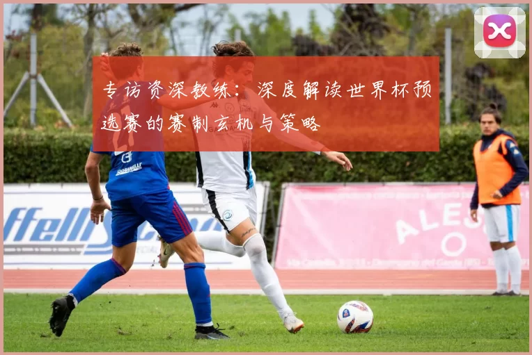 专访资深教练:深度解读世界杯预选赛的赛制玄机与策略