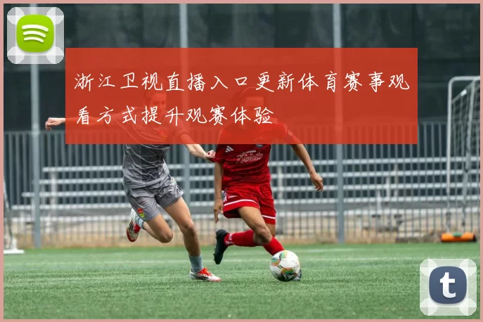 浙江卫视直播入口更新体育赛事观看方式提升观赛体验