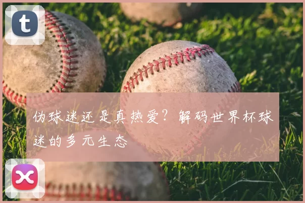 伪球迷还是真热爱？解码世界杯球迷的多元生态
