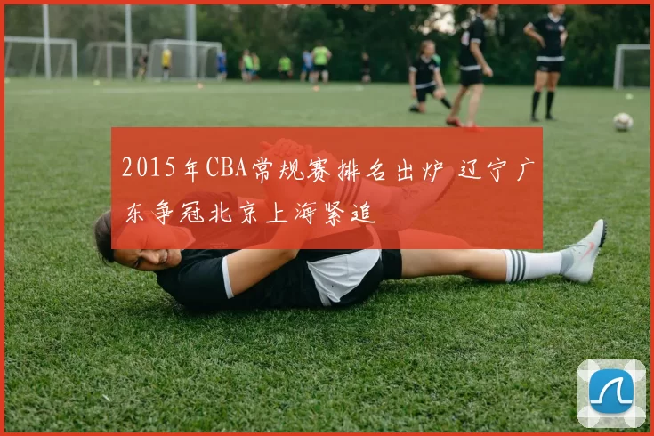 2015年CBA常规赛排名出炉 辽宁广东争冠北京上海紧追