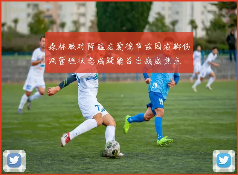 森林狼对阵猛龙爱德华兹因右脚伤病管理状态成疑能否出战成焦点