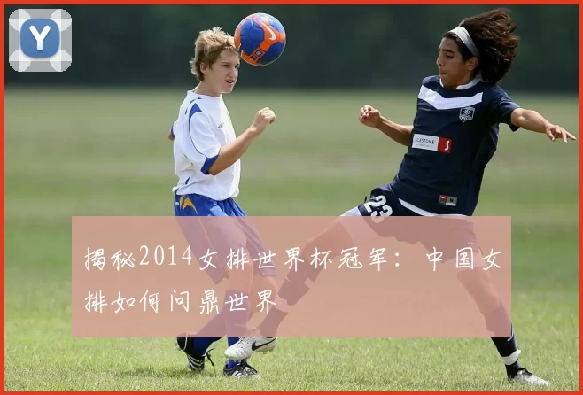 揭秘2014女排世界杯冠军:中国女排如何问鼎世界